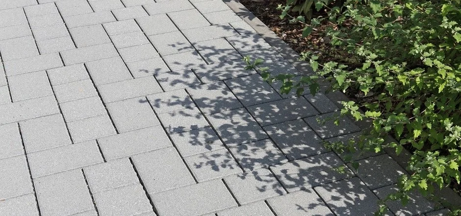 Ein mit Pflastersteinen gebauter Weg und eine Hecke die Schatten darauf wirft.