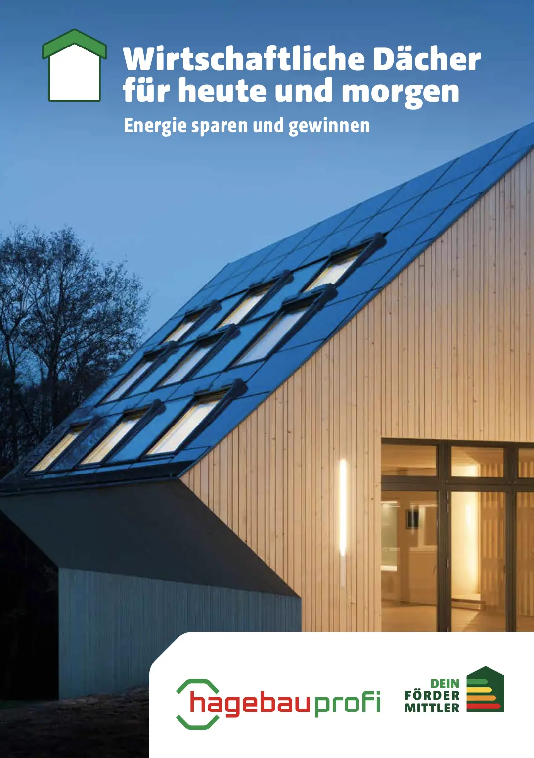 Steildach energetische Sanierung