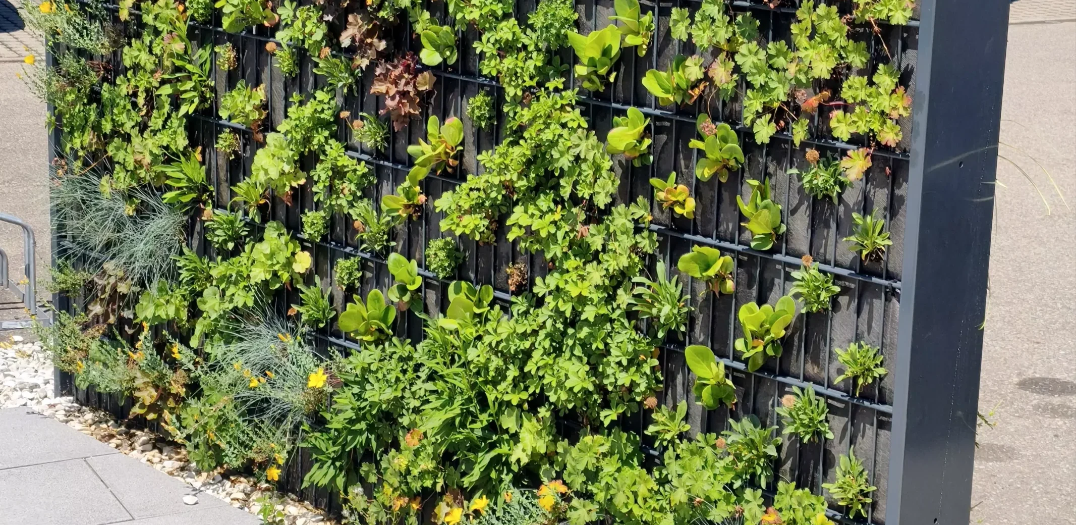 gartenausstellung-loerrach